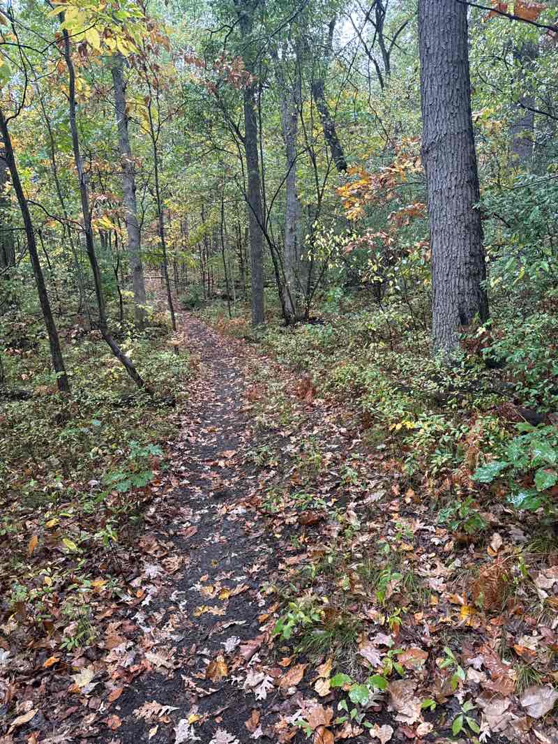walking near me in Ortonville State Recreation Area in autumn