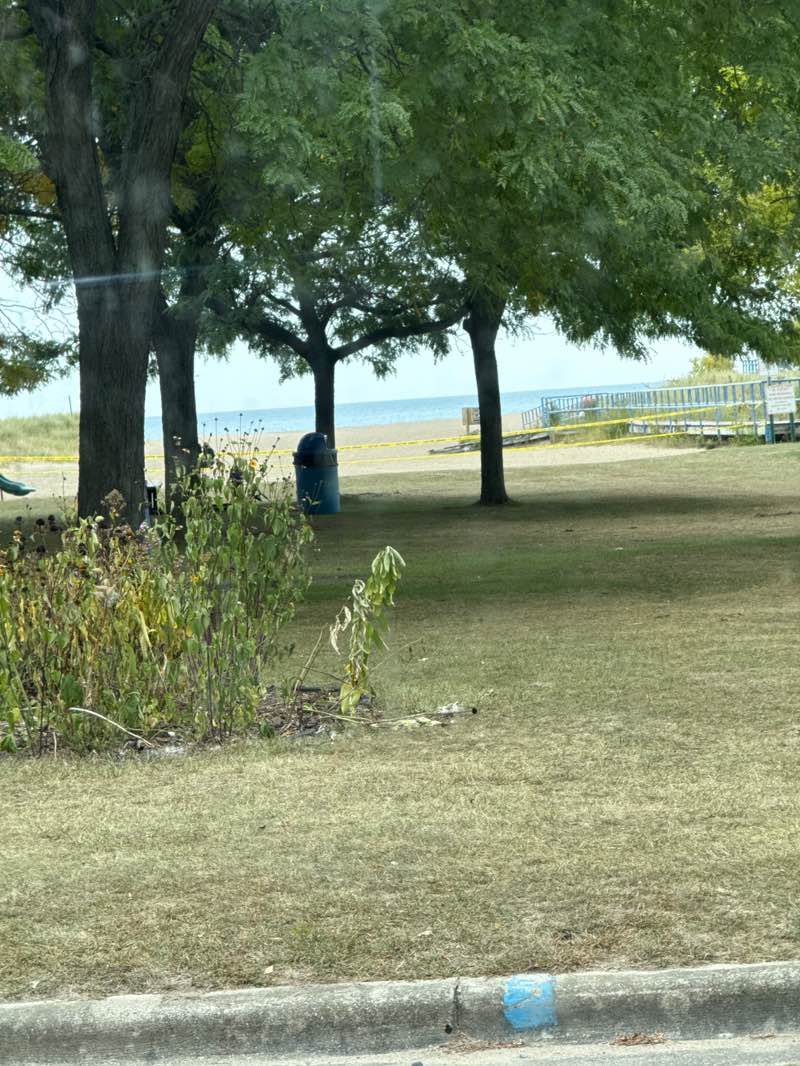 walking near me in Patrick Tierney Memorial Park in autumn