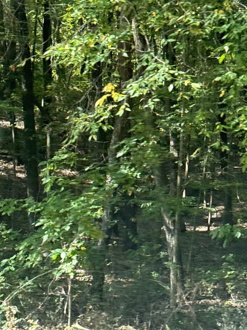 walking near me in Pinckney State Recreation Area in autumn