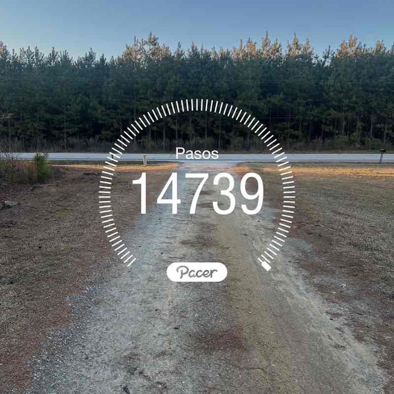 February Distance Challenge YADIRA post image