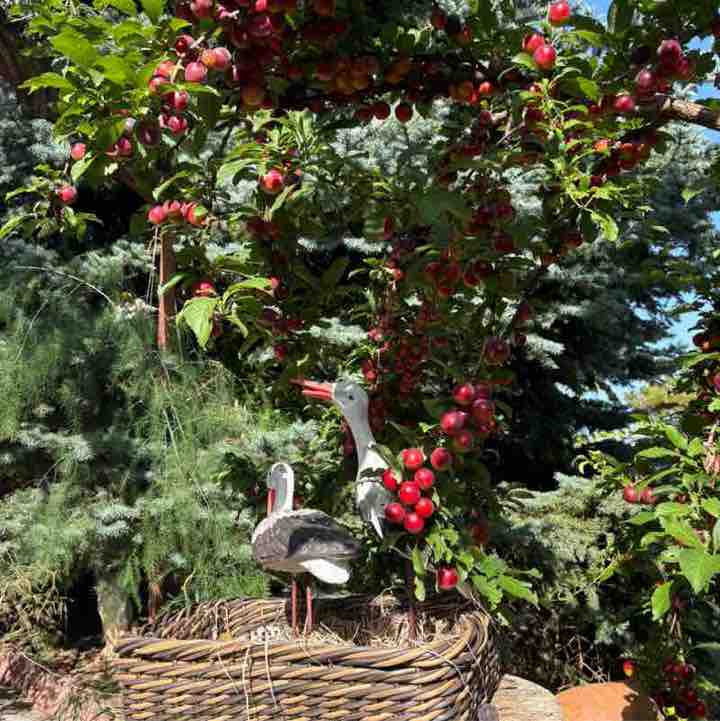 Ангелина post 2