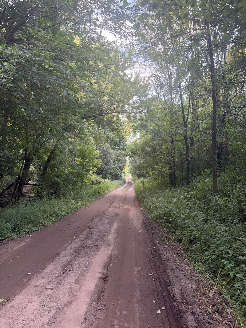 walking near me in Mississippi Gateway Regional Park in summer