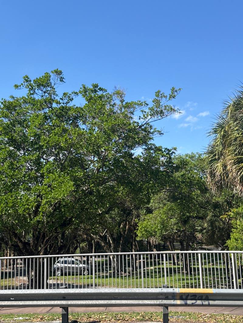 walking near me in Ruth Bryan Owen Waterway Park in spring