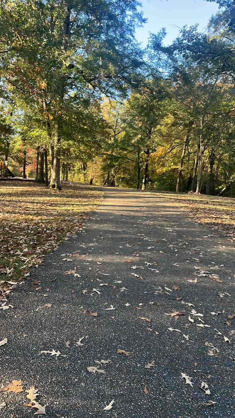 walking near me in Buck Creek Park in autumn