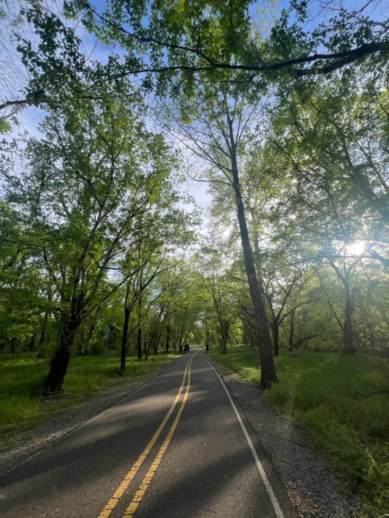 walking near me in Homewood Soccer Park in spring