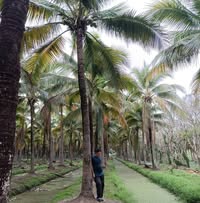 Tathip Thipthip profile