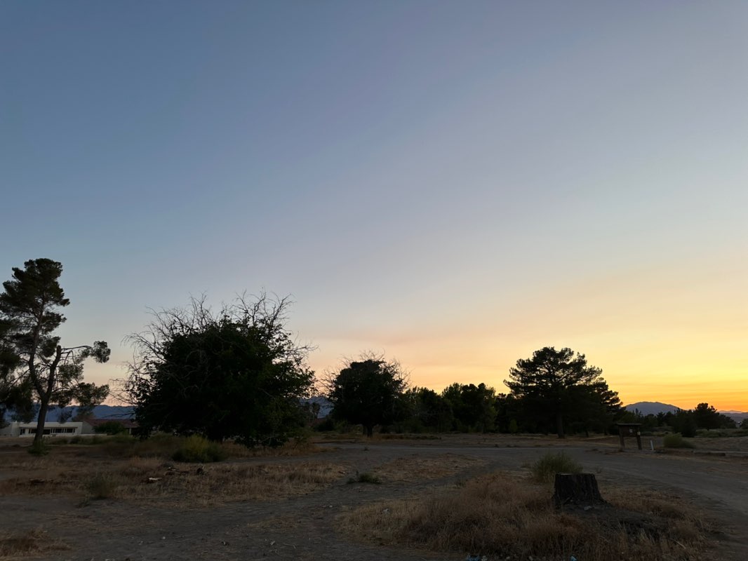 walking near me in Discovery Park in autumn