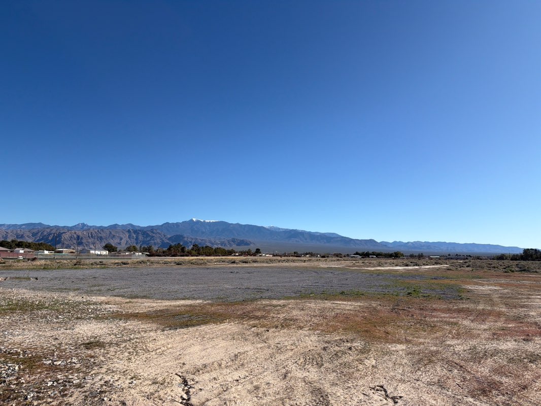 walking near me in Kellogg Park (In Construction) in spring