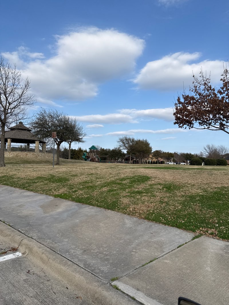 walking near me in Tom Allen Jr. Park in spring