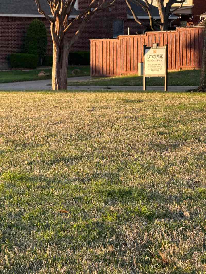 walking near me in Latigo Park in spring