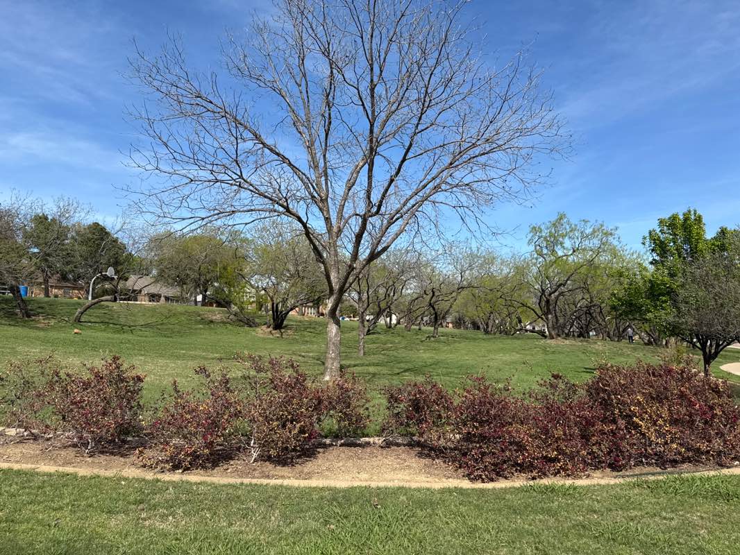 walking near me in Harold K Bessire Park in spring
