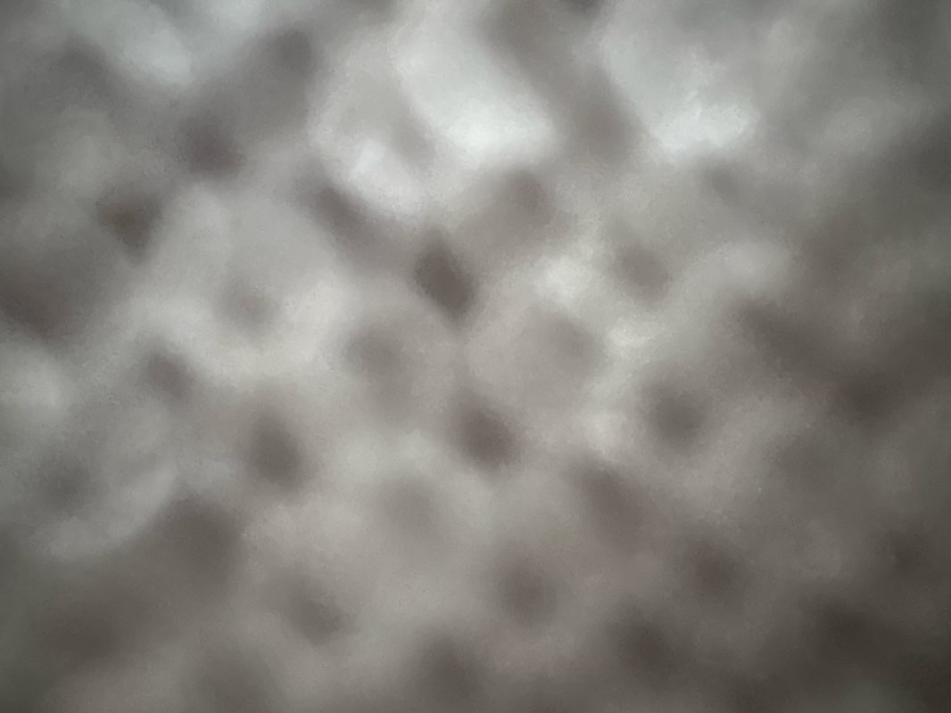 walking near me in Carver Homes Park in autumn