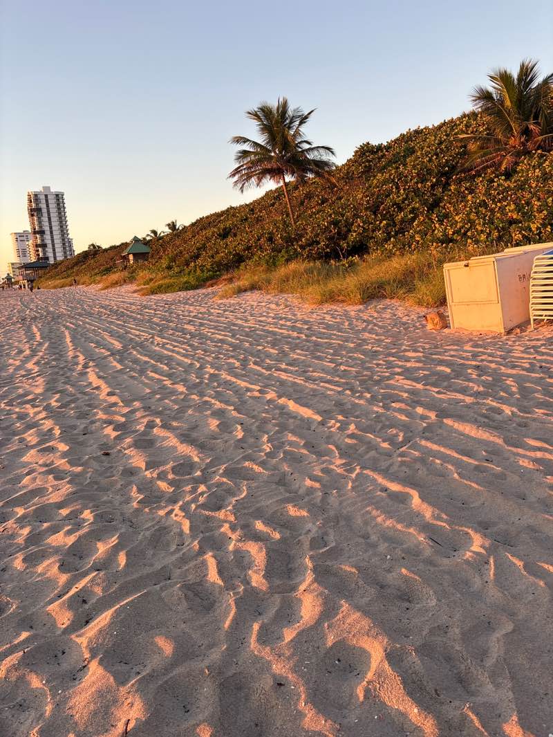 walking near me in South Beach Park in autumn