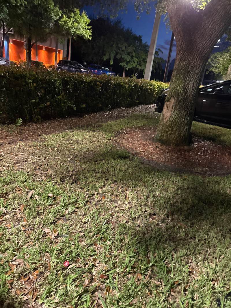 walking near me in Mc Nair Park in autumn