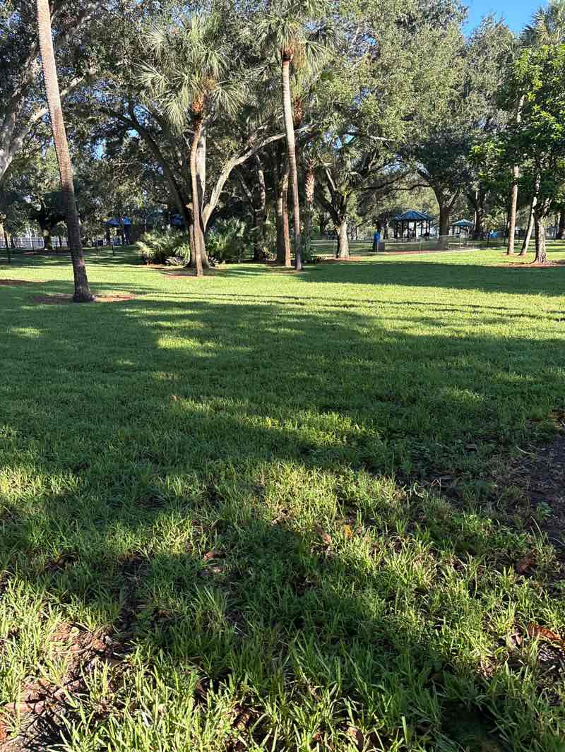 walking near me in Windmill Park in autumn