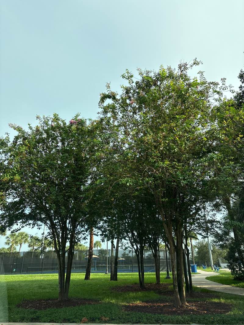 walking near me in Coconut Creek Community Center Park in autumn