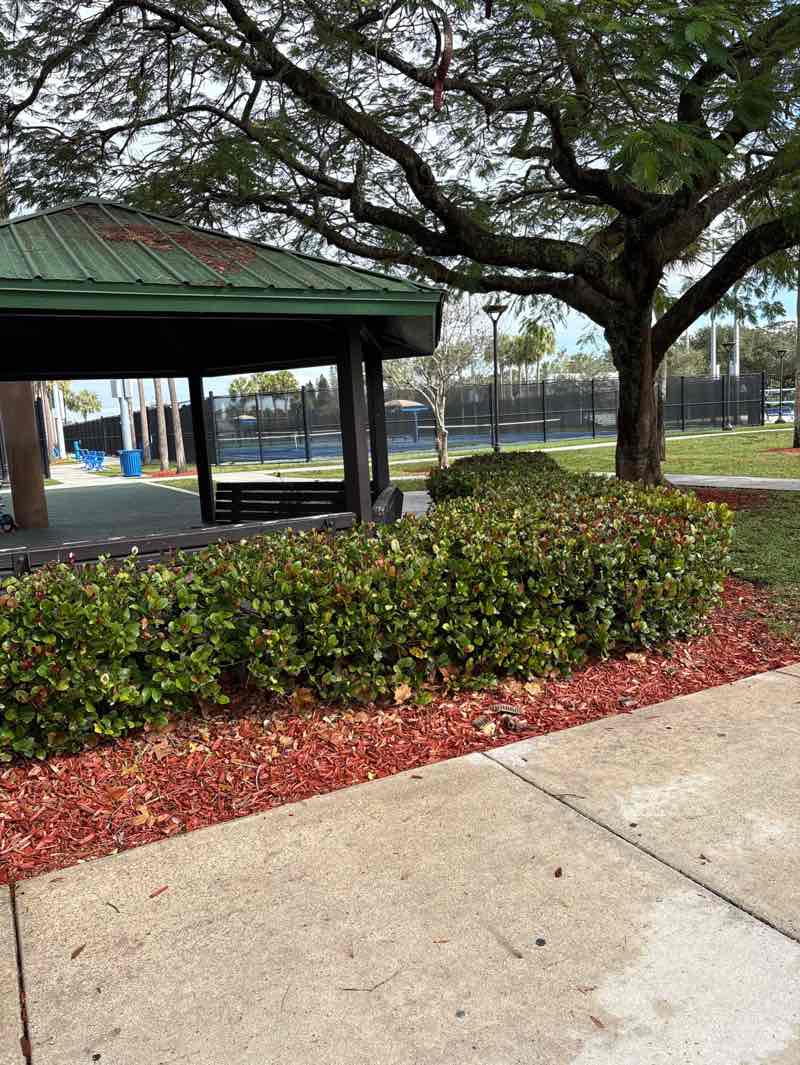 walking near me in Windmill Park in winter