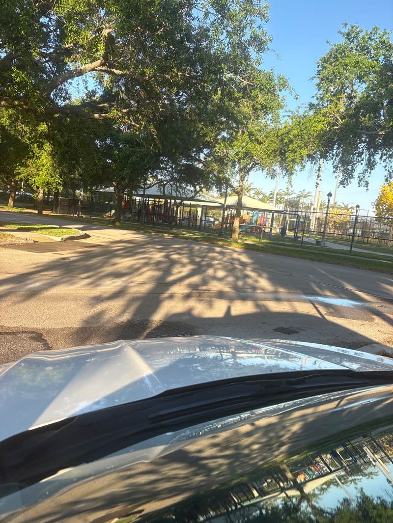 walking near me in Pompano Community Park in spring