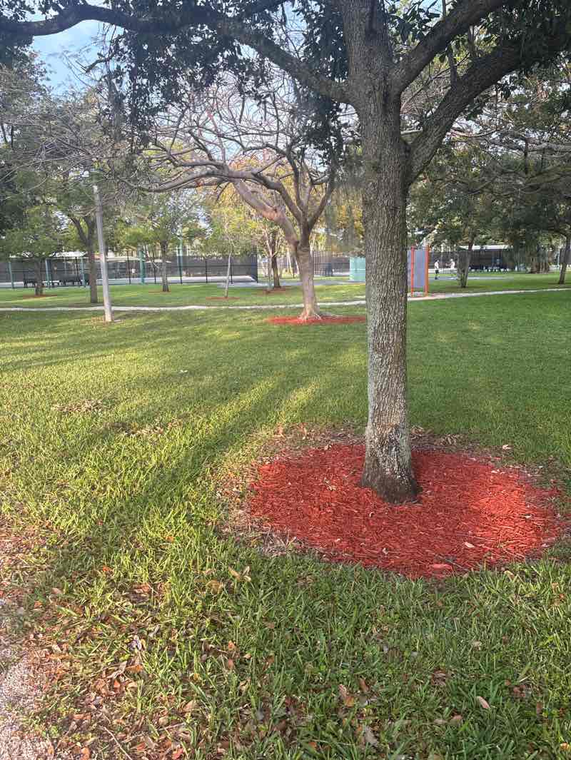 walking near me in Pompano Community Park in spring