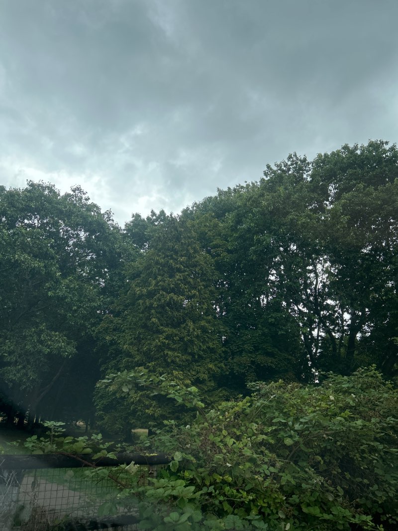 walking near me in Oakfield Park in autumn