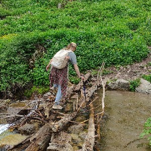 M Латышова profile