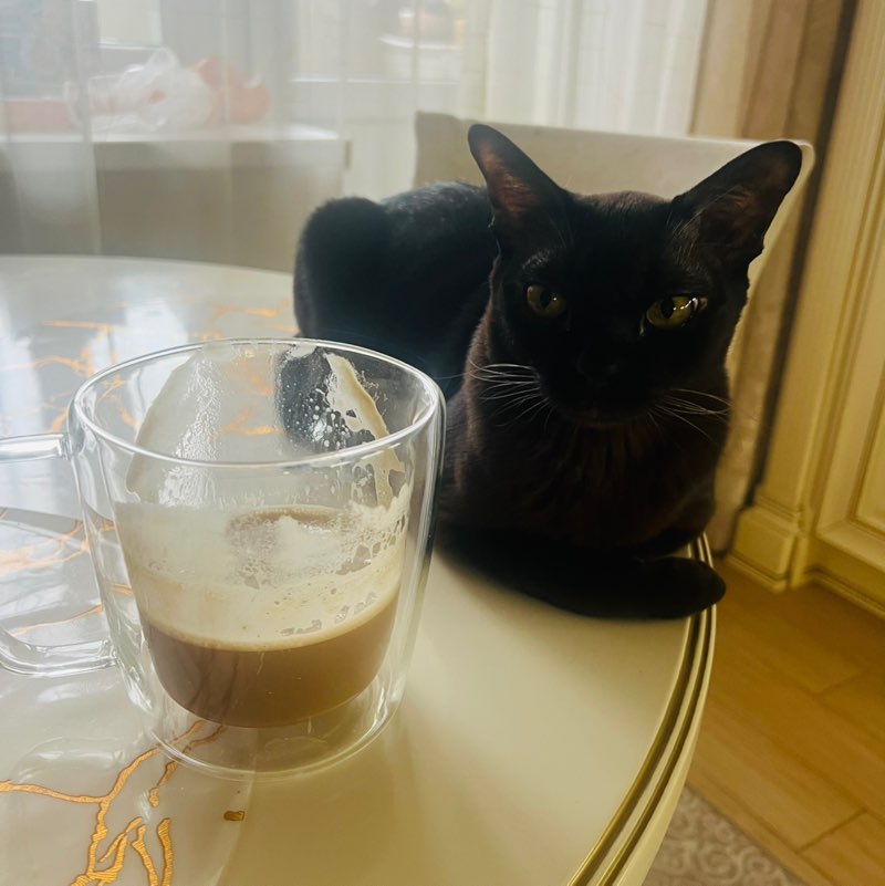 Светлана profile