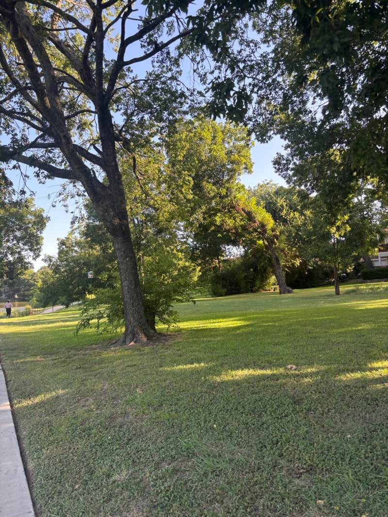 walking near me in Jaycee Park in autumn