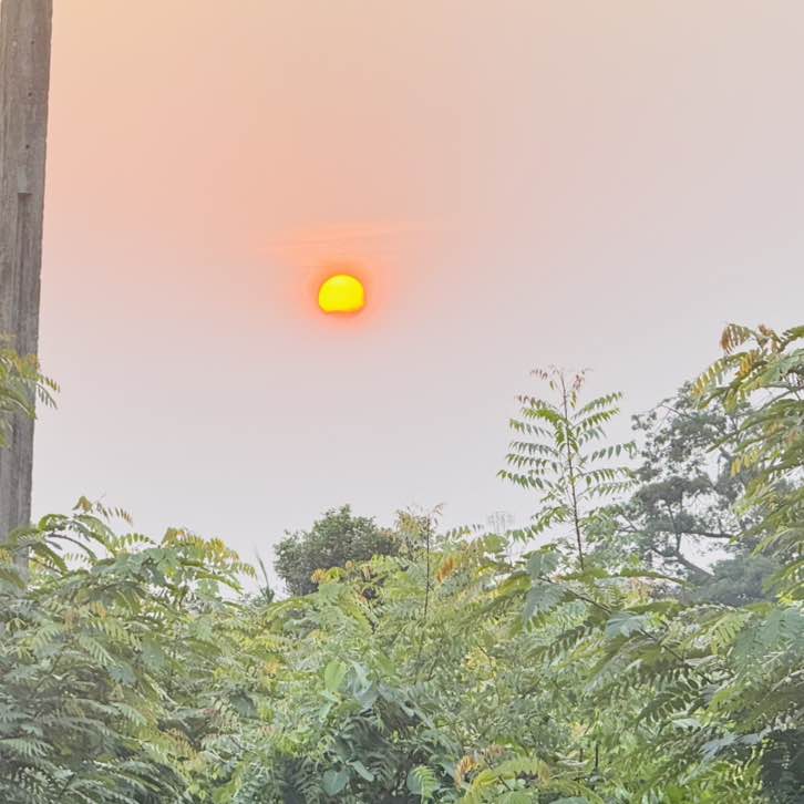 Walk Nation- Ghana PHILLIPS post image