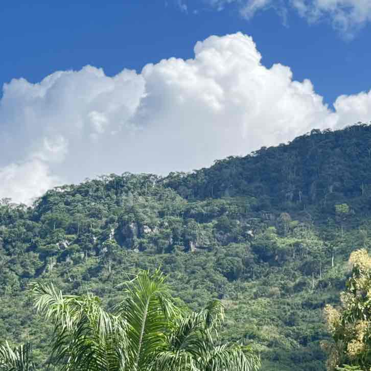 Walk Nation- Ghana PHILLIPS post image