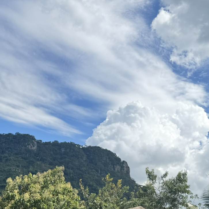 Walk Nation- Ghana PHILLIPS post image