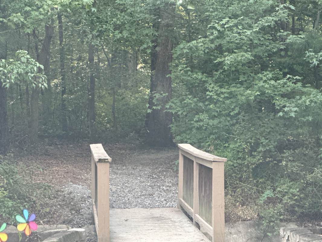 walking near me in Huguenot Park in autumn