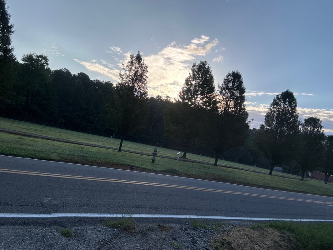 walking near me in Roman Road Park at Brown Grove in autumn