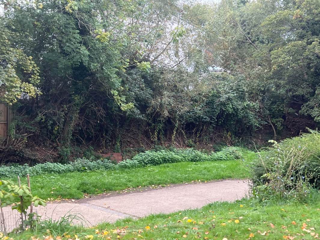 walking near me in Honeybourne Line Open Space in autumn