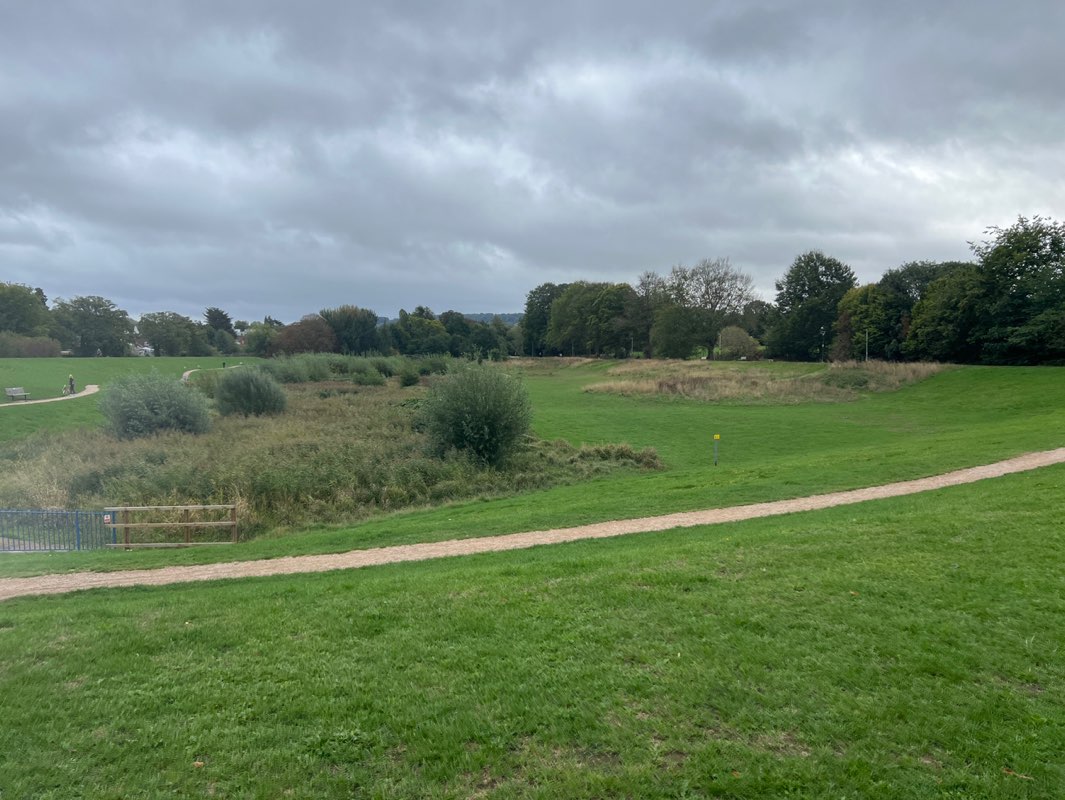 walking near me in Cox's Meadow in autumn