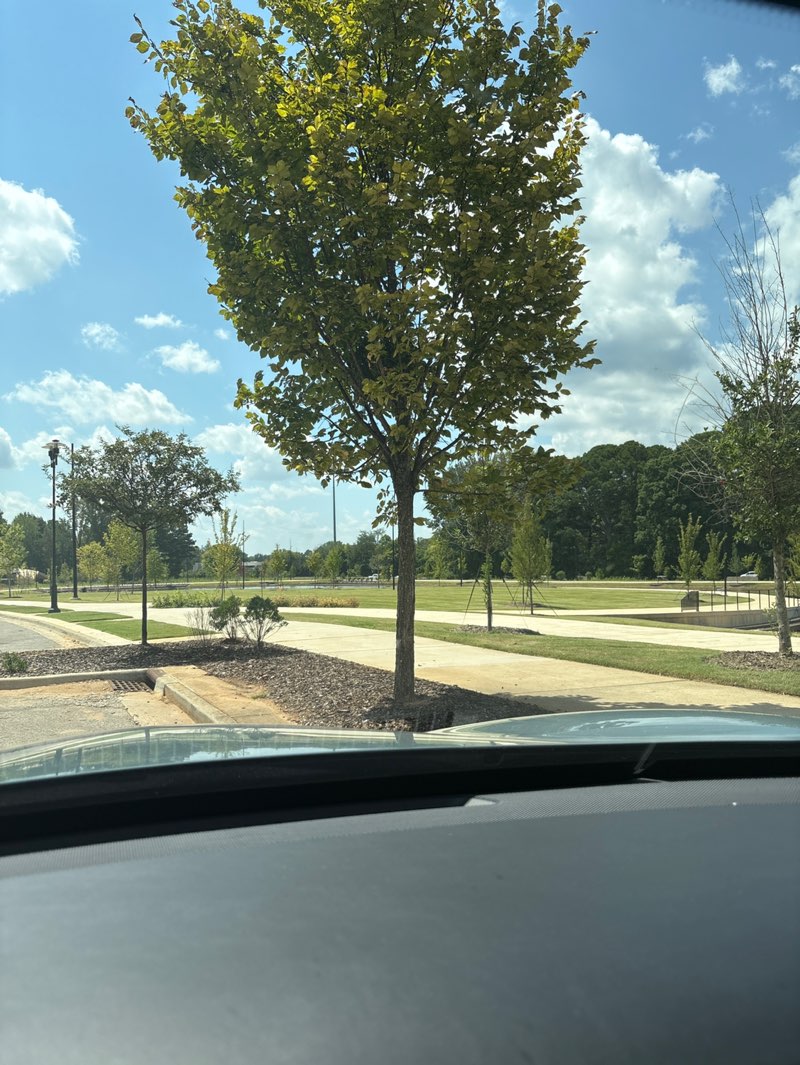 walking near me in Apollo Park in autumn