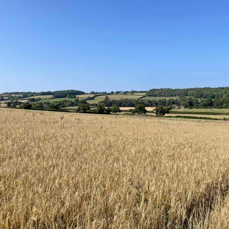 IFS R&D Projects Nalindra post image