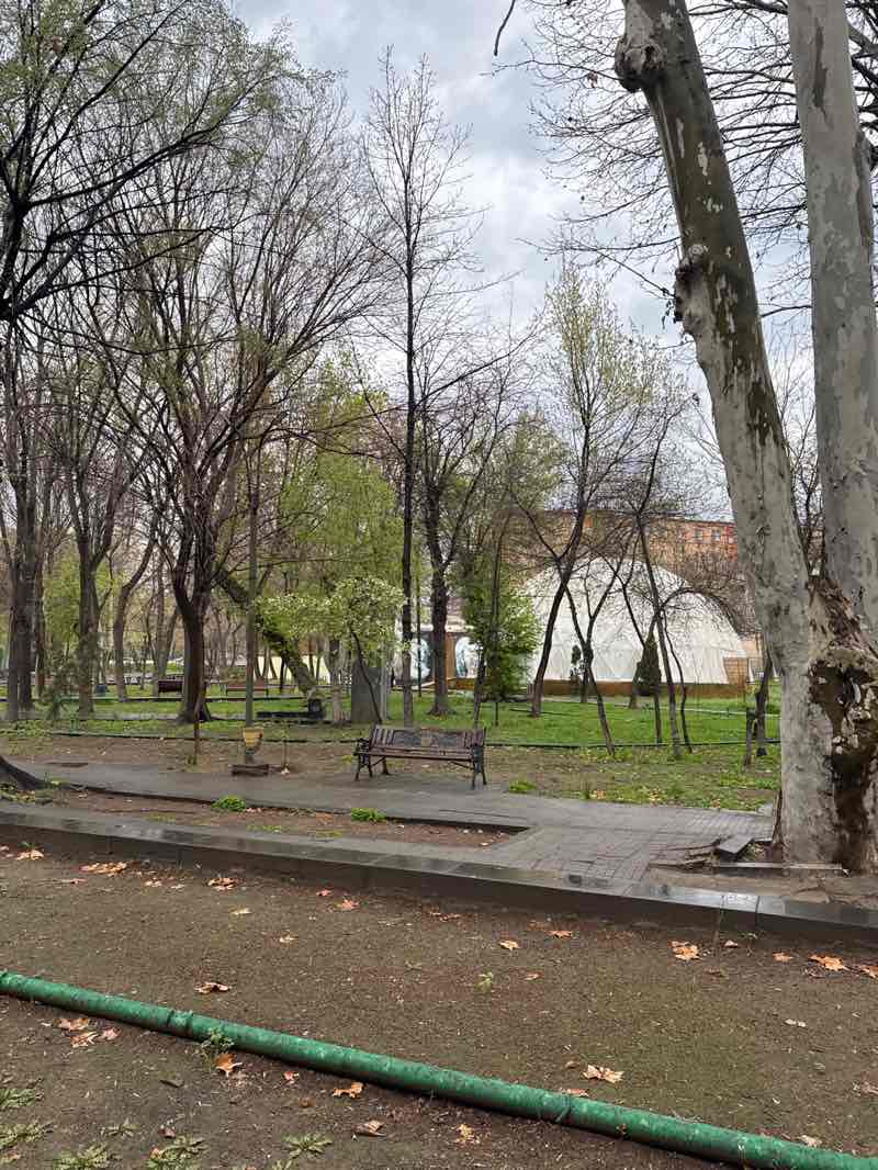 walking near me in English park in spring