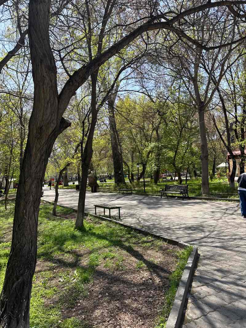 walking near me in Children's Park in spring