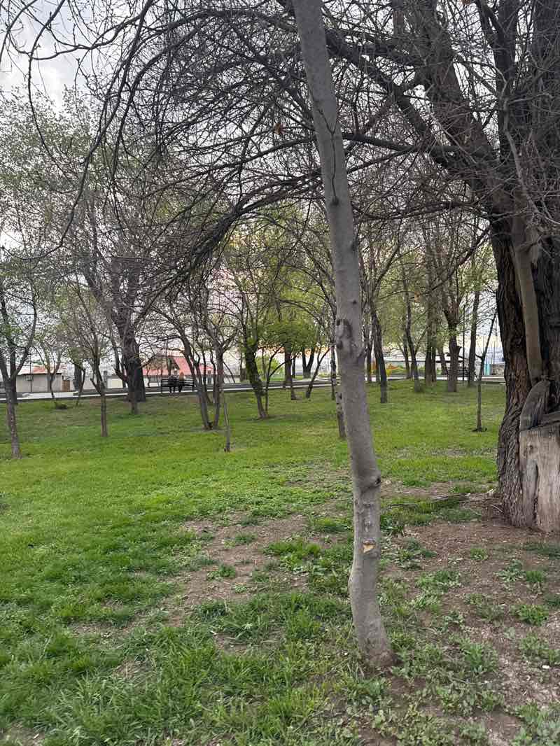 walking near me in Komitas Park and Pantheon in spring