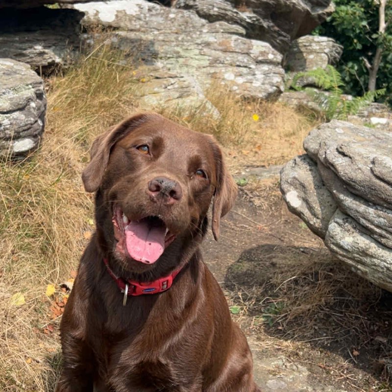 linda 🏴󠁧󠁢󠁷󠁬󠁳󠁿🏴󠁧󠁢󠁷󠁬󠁳󠁿