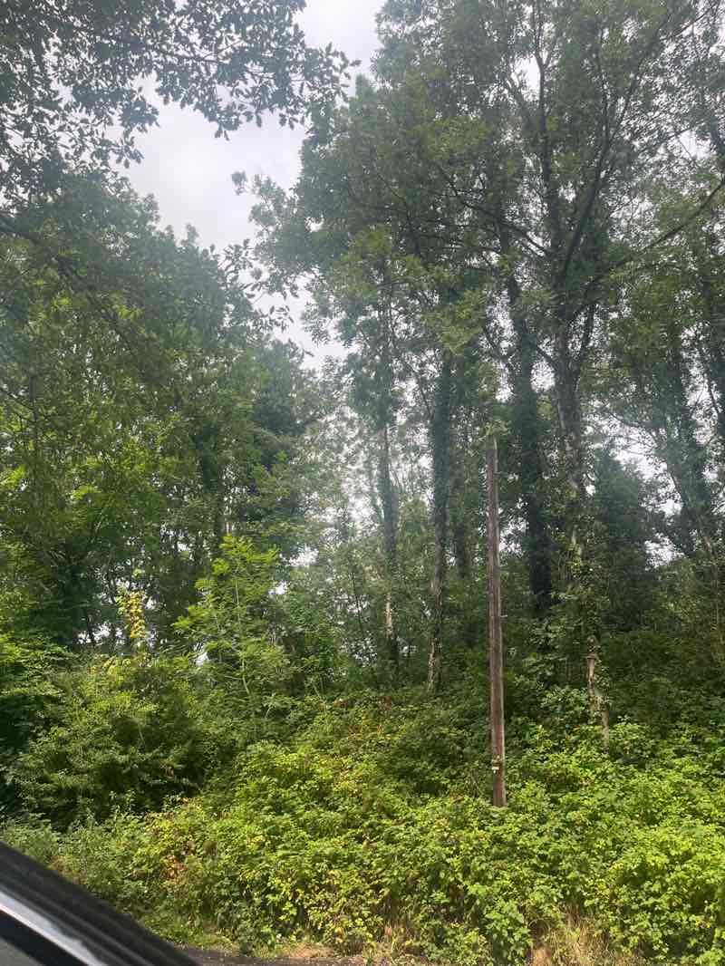 walking near me in Sirhowy Valley Country Park in autumn