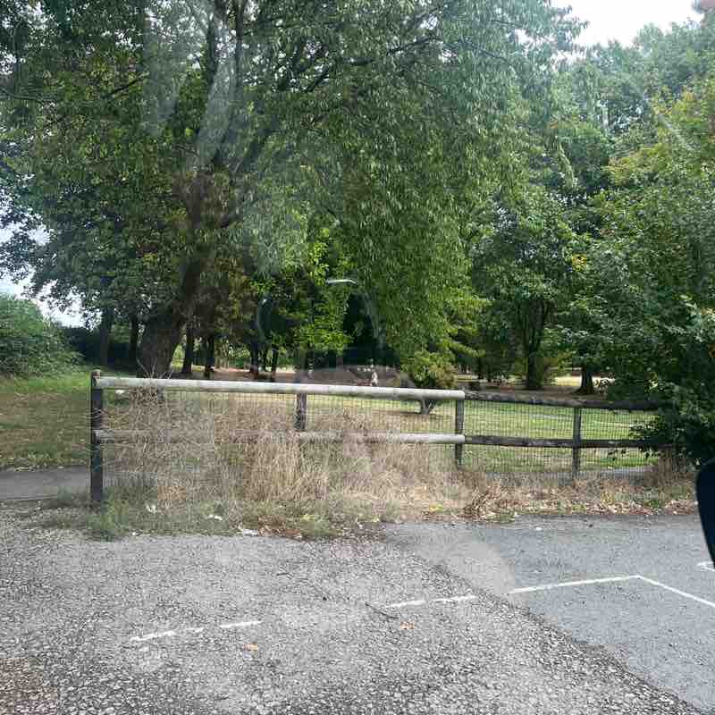 linda 🏴󠁧󠁢󠁷󠁬󠁳󠁿🏴󠁧󠁢󠁷󠁬󠁳󠁿 post 1