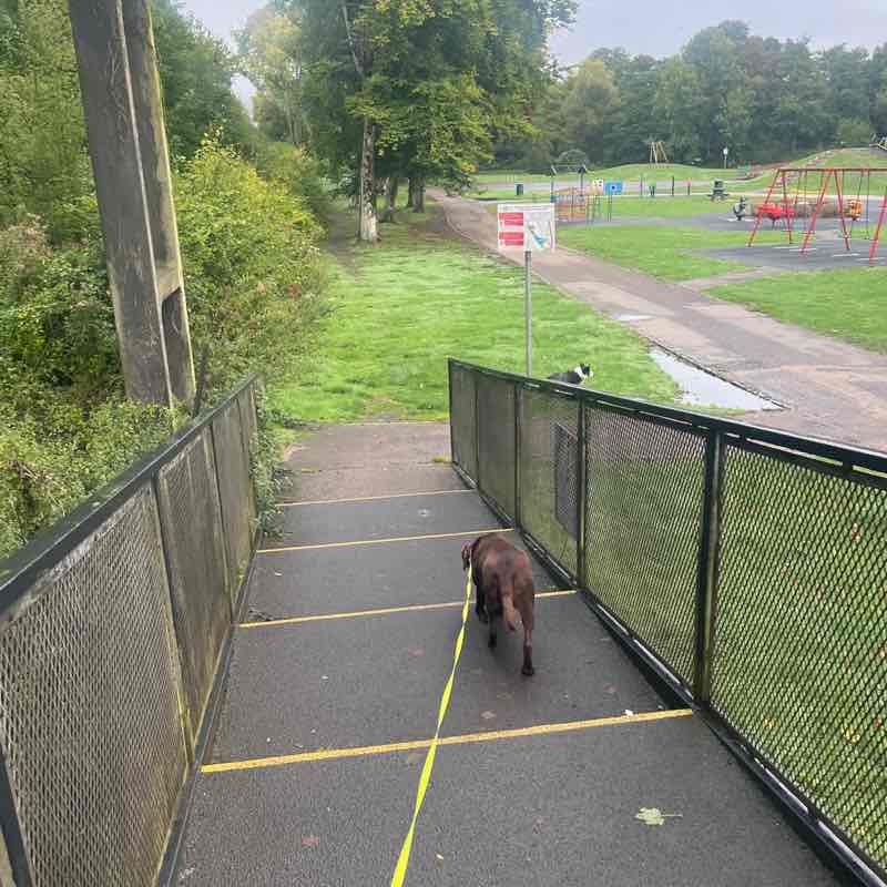 linda 🏴󠁧󠁢󠁷󠁬󠁳󠁿🏴󠁧󠁢󠁷󠁬󠁳󠁿 post 1