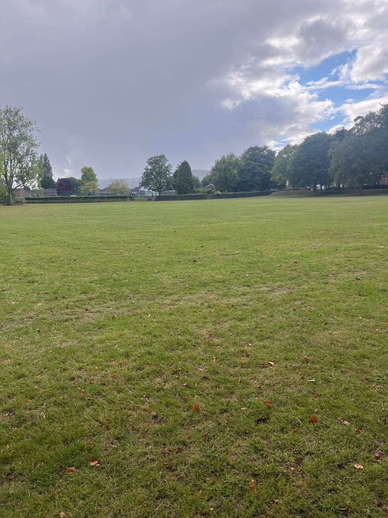 walking near me in Cwmbran Park in autumn