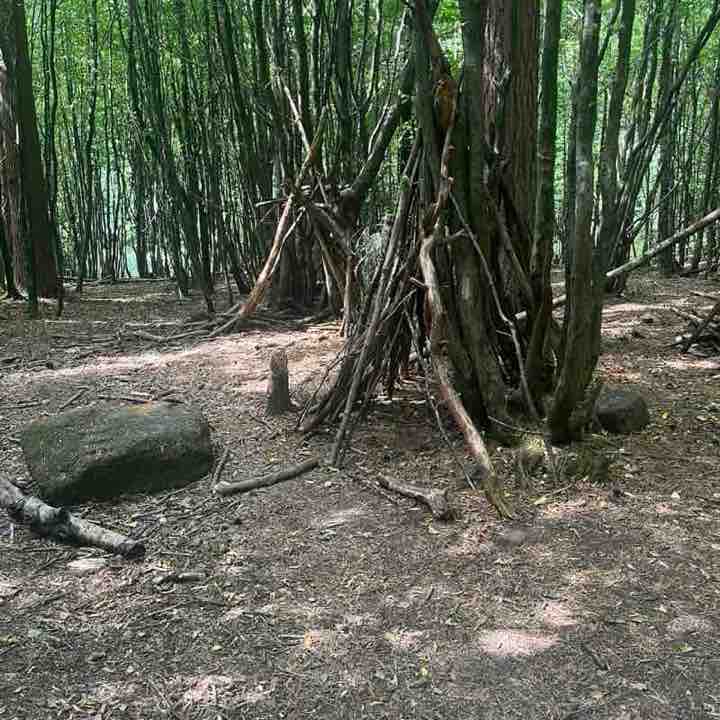 linda 🏴󠁧󠁢󠁷󠁬󠁳󠁿🏴󠁧󠁢󠁷󠁬󠁳󠁿 post 1