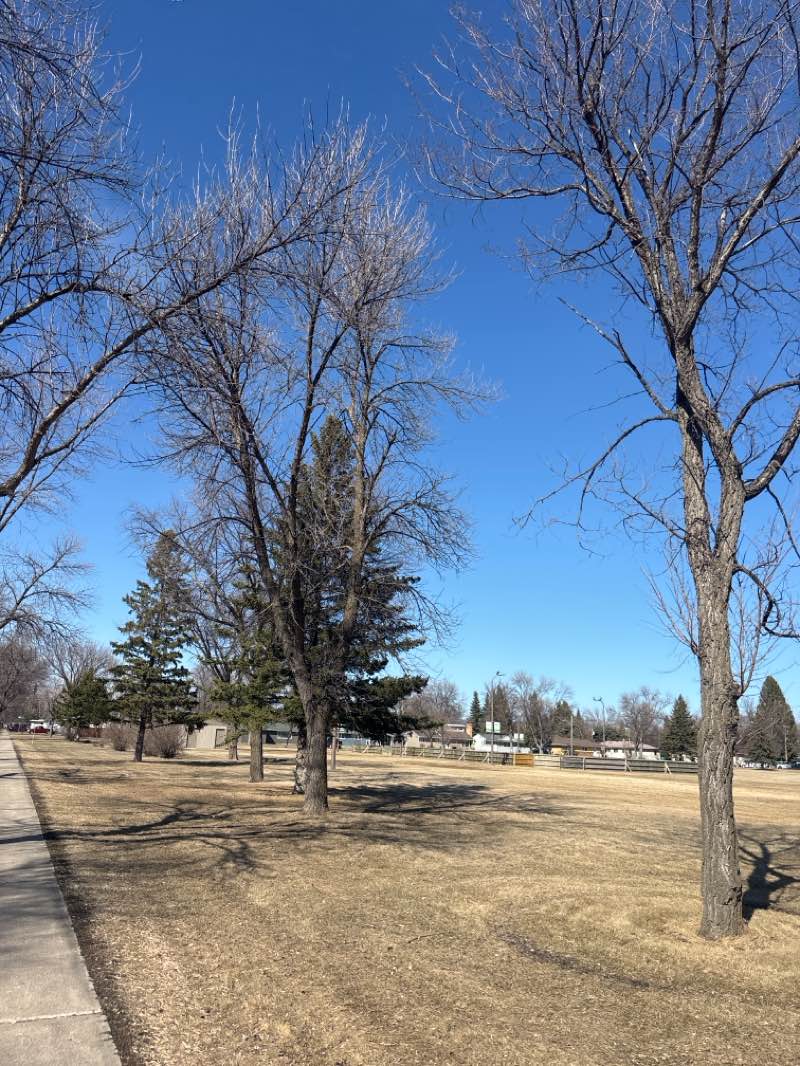 walking near me in Cox Park in spring