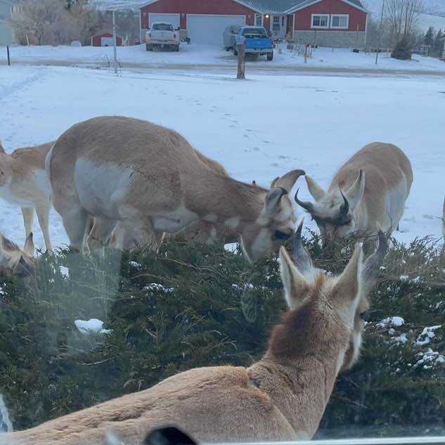 Whatnot Friends Kath post image