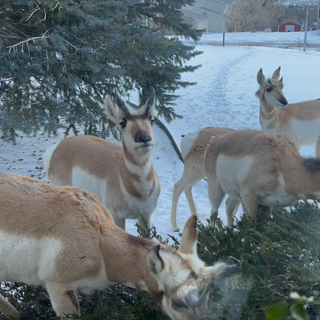 Whatnot Friends Kath post image