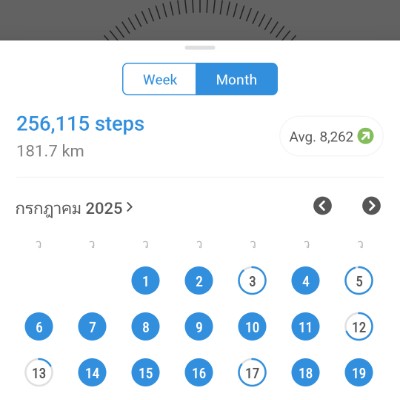 SEWT-W Walking challenge 2025 Mananya2051781 post image