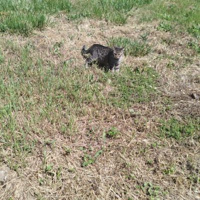 Only Walk🏃🏻‍♂️🏃🏃‍♀️🚶🏼 Дарина post image